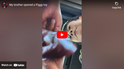 My brother opened a piggy toy 1 full Video