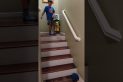 bottle flip